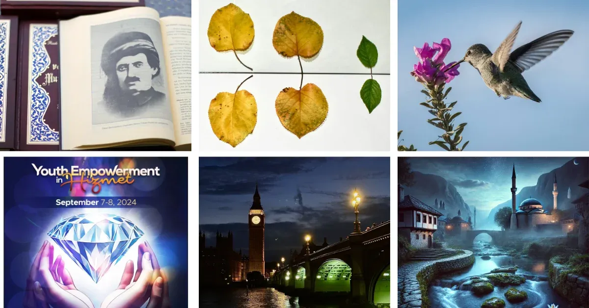 FoR'dan Haberler - Eylül 2024