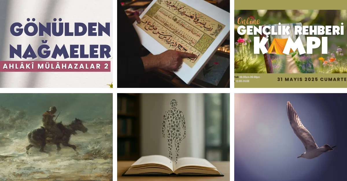 FoR'dan Haberler - Mayıs 2025