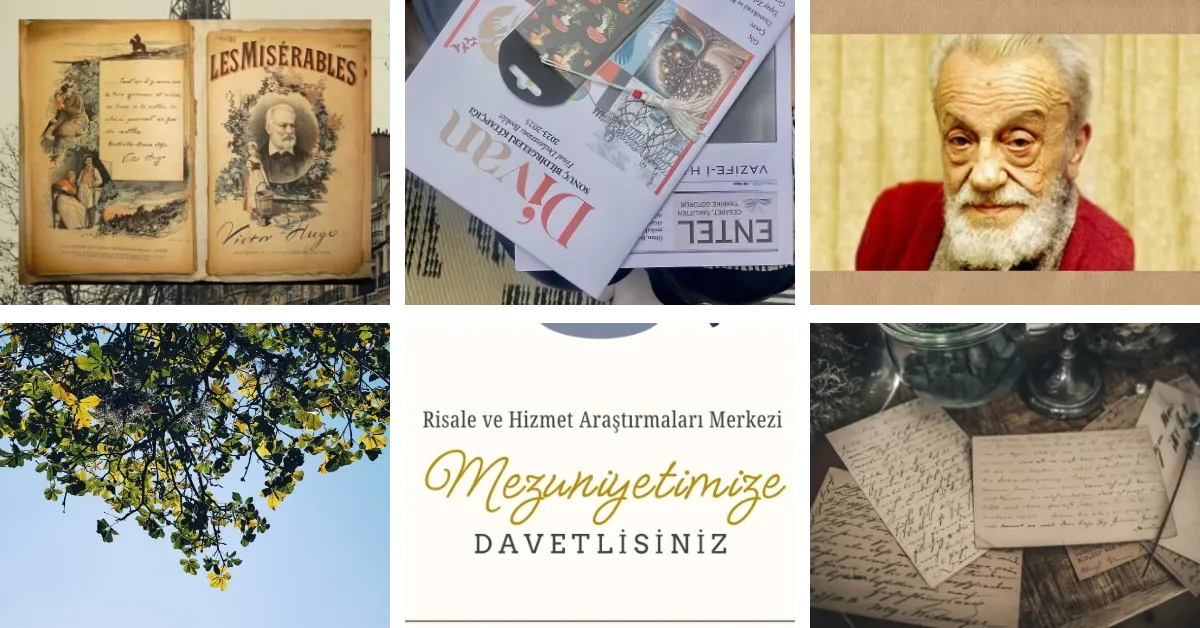 FoR'dan Haberler - Haziran 2025