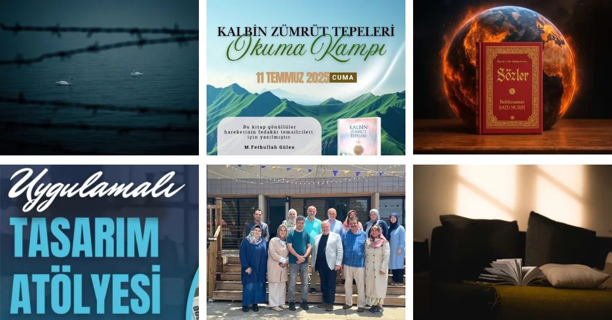 FoR'dan Haberler - Temmuz 2025