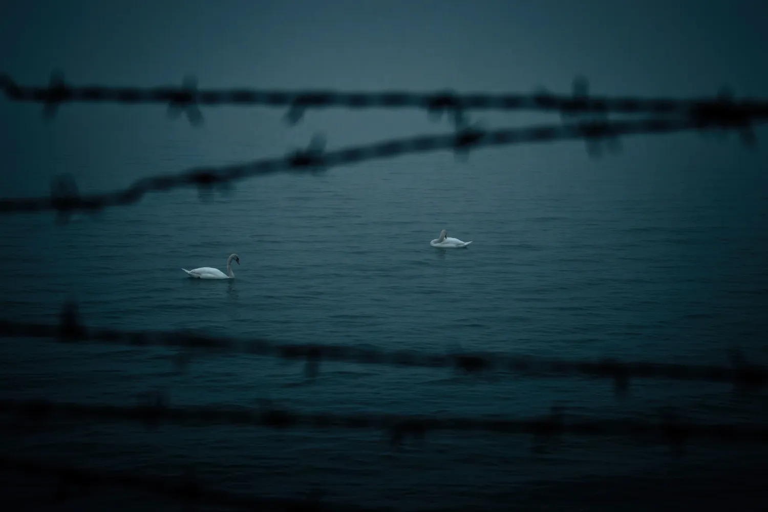 İnsanın Yeniden İnşası: Adaletin Ruhu ve Vicdanın Sınavı